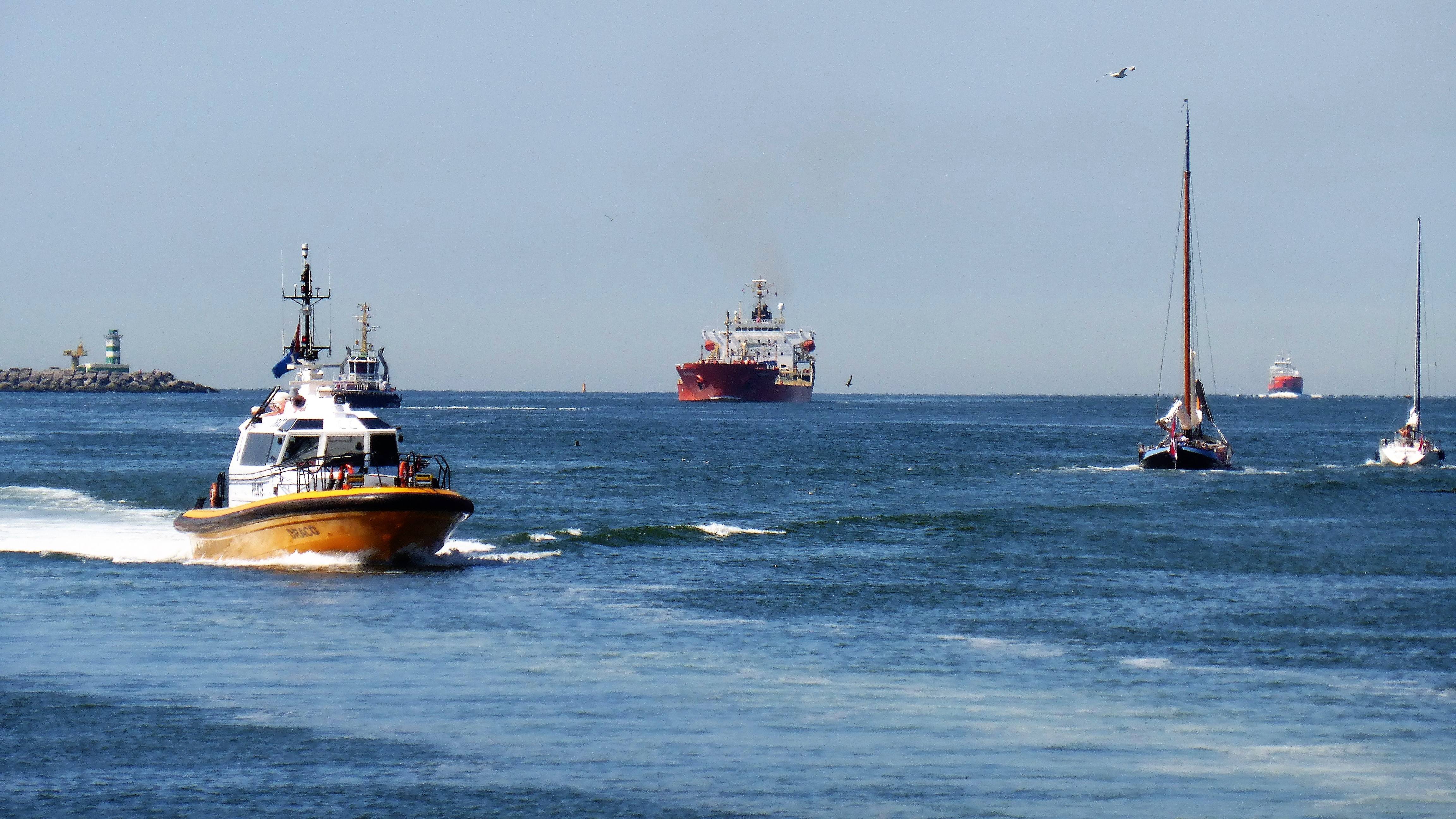 Pieren IJmuiden 02-08-18-1 